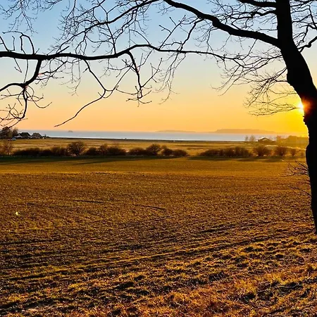 Daire Kajüte Jonas Thiessow