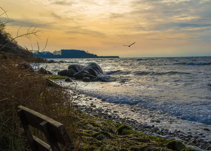 Kajuete Jonas Lejlighed *